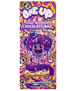 Blueberry Cheesecake Mushroom Chocolate Bar